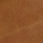 Next Saddle ()