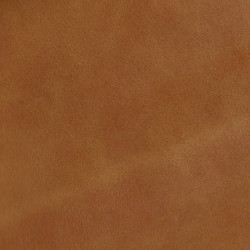 Next Saddle
