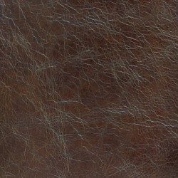 Tradition Dark Brown