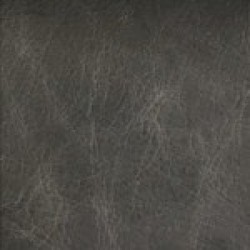 Apache Pewter (Apache Leather)