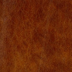 Vintage Tan (Vintage Leather)