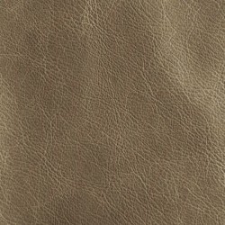 Apache Ash (Apache Leather)