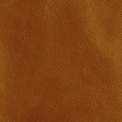 Dune Sand (Dune Leather)