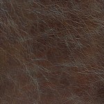 Tradition Dark Brown ()