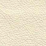Cottonseed (Contempo)