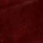 Ruby (Jiotto)