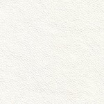 White (Contempo)