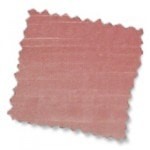 Chalk Pink (Canterbury 10809)