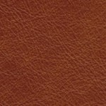 Sand (Dune)