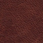 Hazel (Dune)