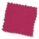 Fuchsia (harbour)