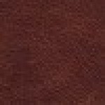Hazel (Dune)