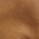 Fudge (Dune)