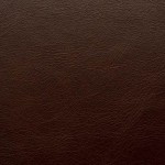 Hazel (Old English)