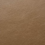 Parchment (Old English)