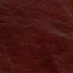 Dark Oak (Herritage)