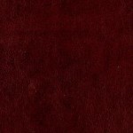 Merlot (Matera)