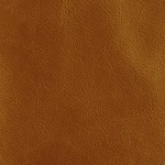  Dune Sand (Dune Leather)