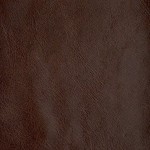 Dark Brown (Old English)