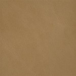 Parchment (Old English)
