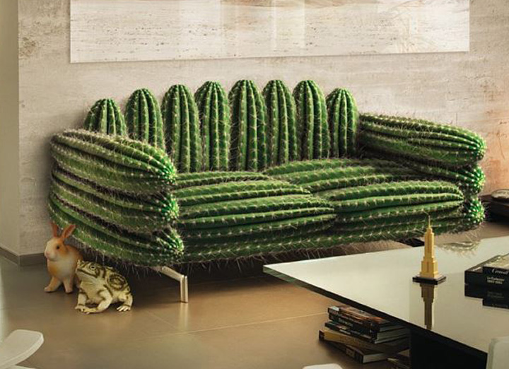 cactus-sofa